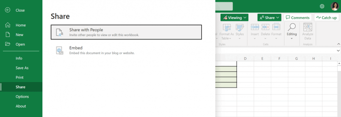 co authoring in excel